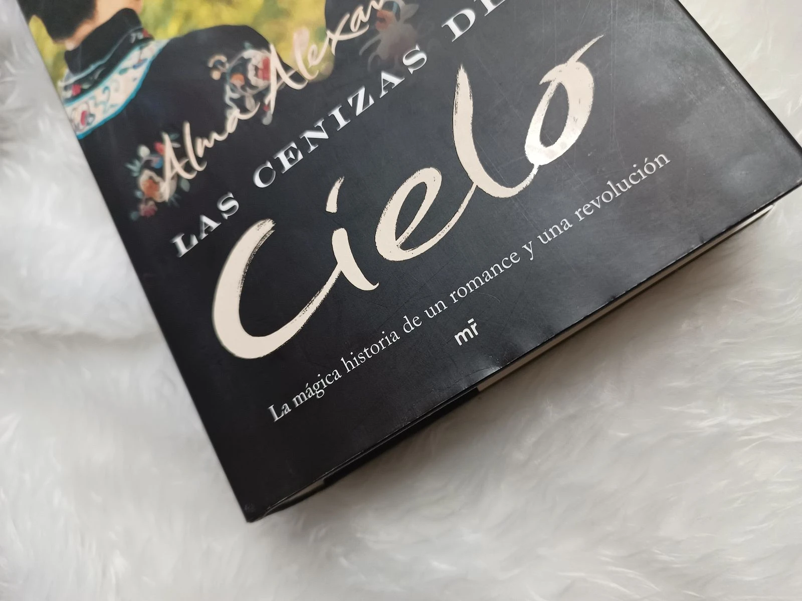 Boek De As van de Hemel – photo 14